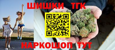 крисы Шебекино