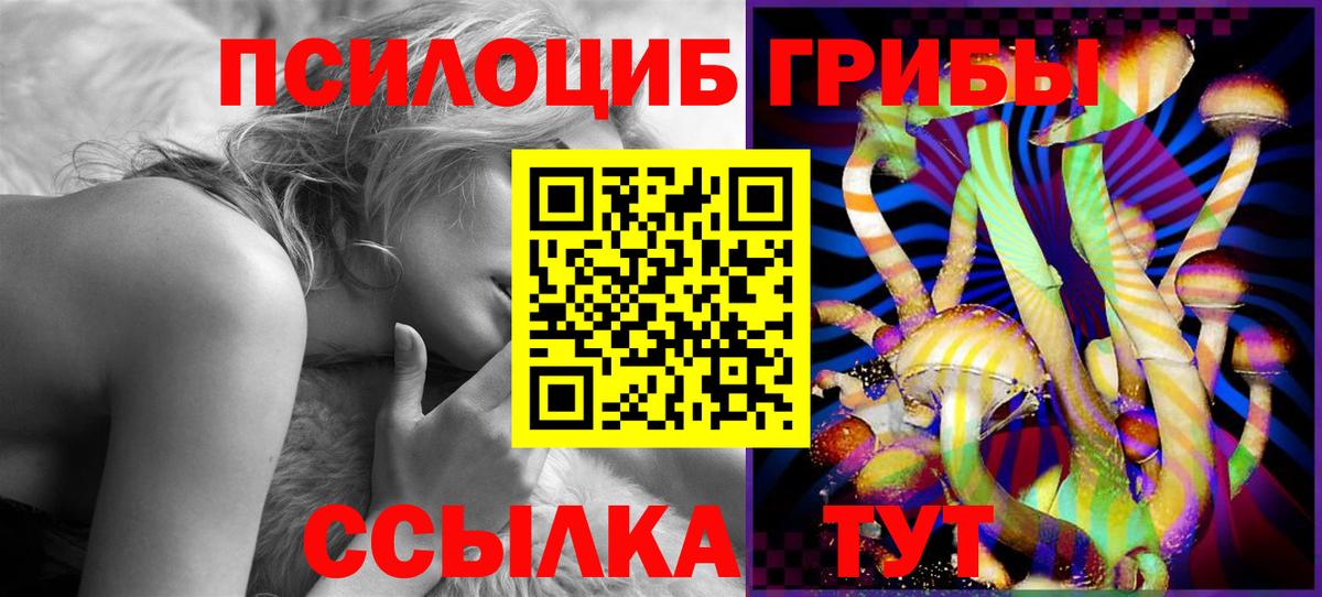 Псилоцибиновые грибы Psilocybine cubensis  дарнет шоп  Камышлов  Псилоцибиновые грибы Psilocybine cubensis  Вход с VPN 